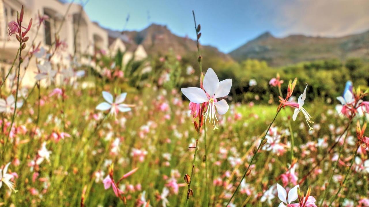 Отель Thelab Cape Town Хаут-Бей Экстерьер фото